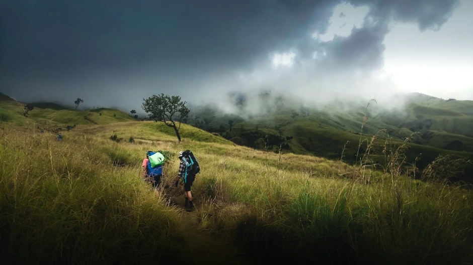 2 person walking on green grass field under gray clouds