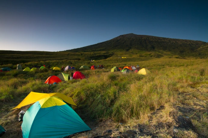 people camping on green grass field during daytime