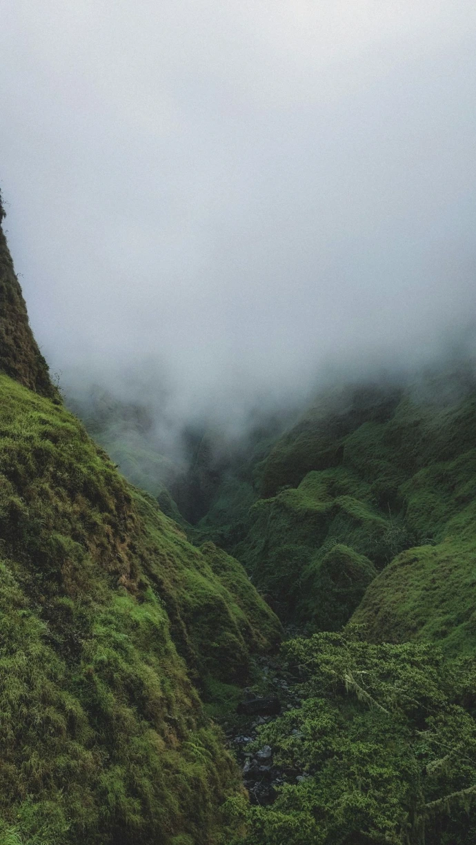A lush green hillside covered in fog and clouds